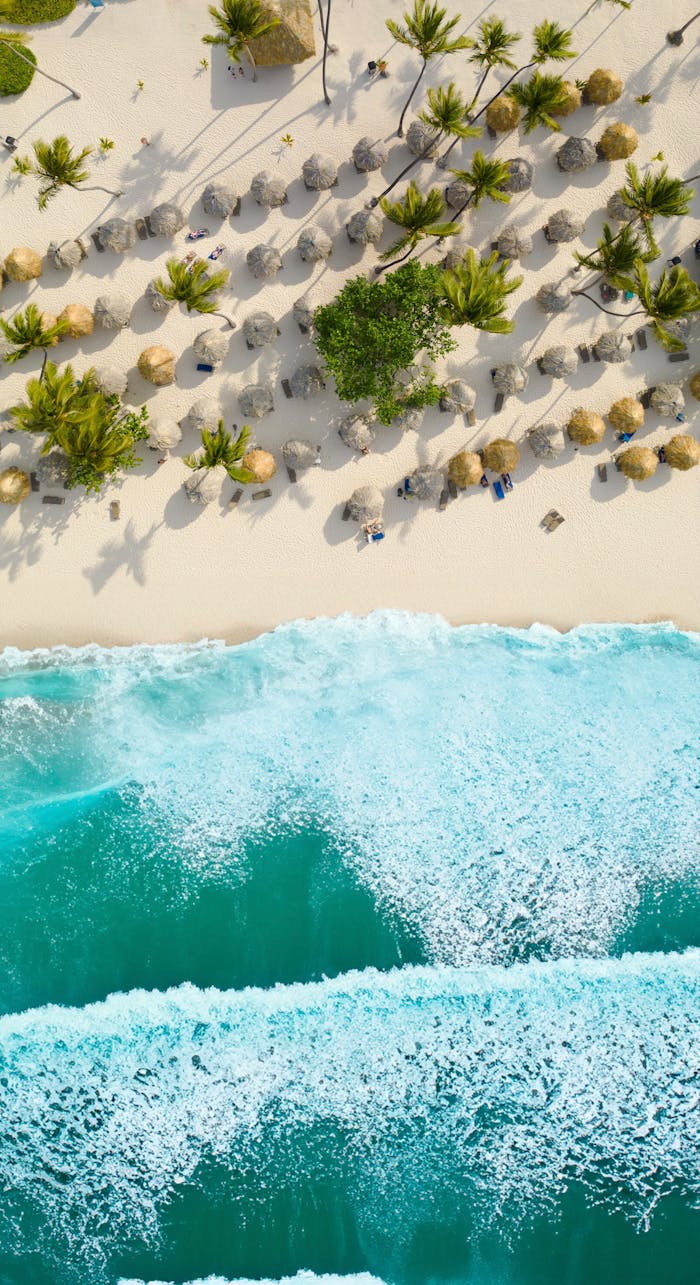 gallery-6 Stunning aerial shot of a tropical beach with turquoise waves and palm trees in the Dominican Republic.
