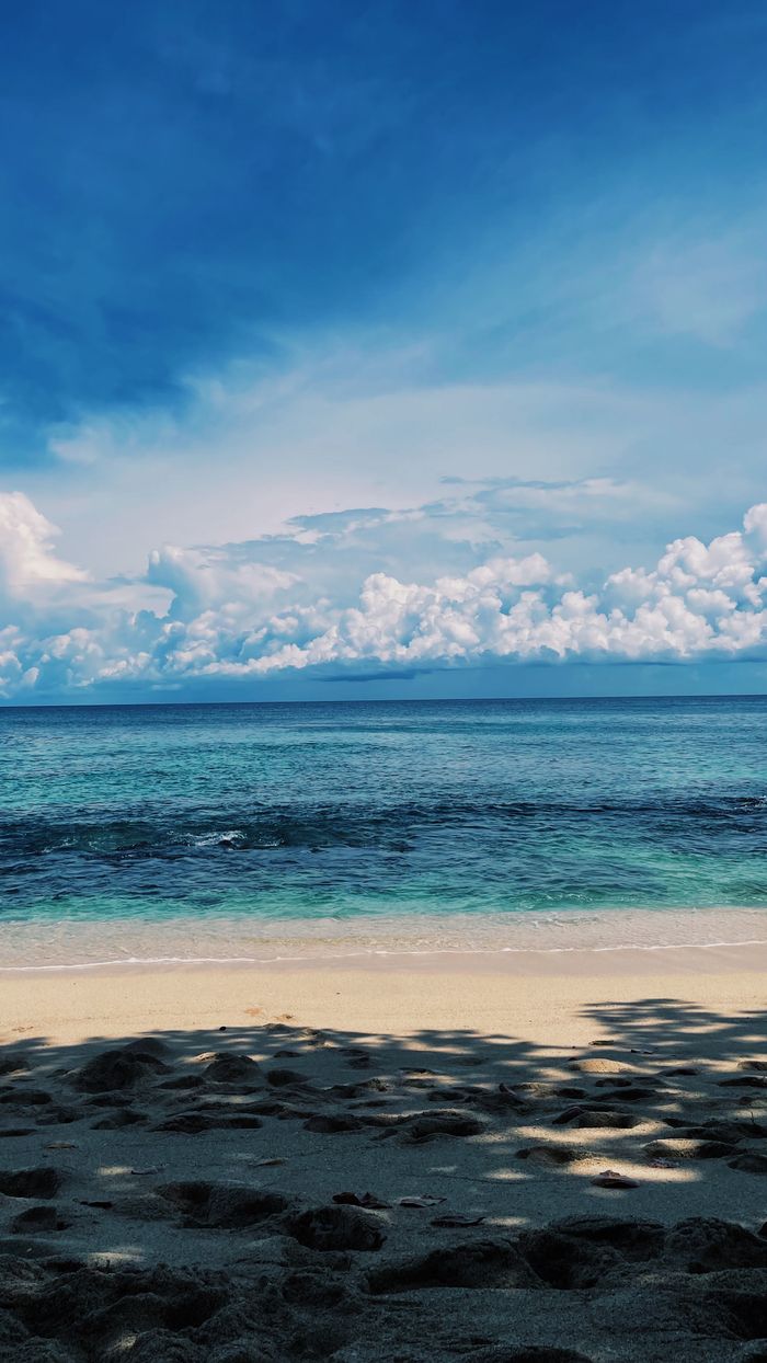 why-choose-us Beautiful view of a tropical beach and clear blue sea in Papua, Indonesia.