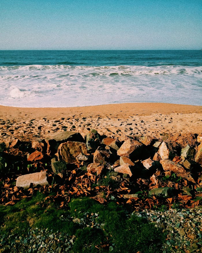 gallery-3 A calm ocean scene with sandy beach, waves, and rocky shoreline under a clear blue sky.